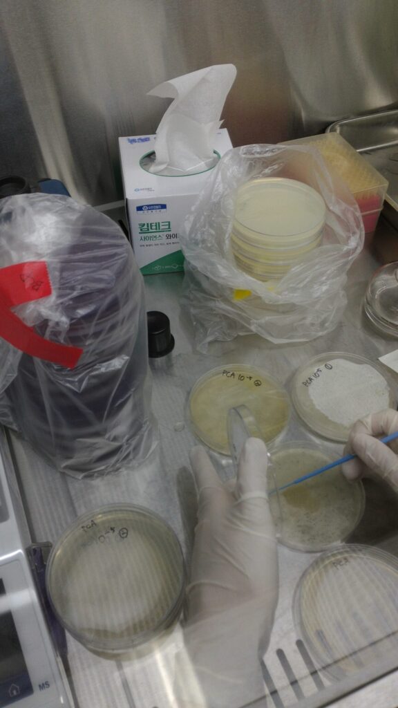 판교 인턴 실험실